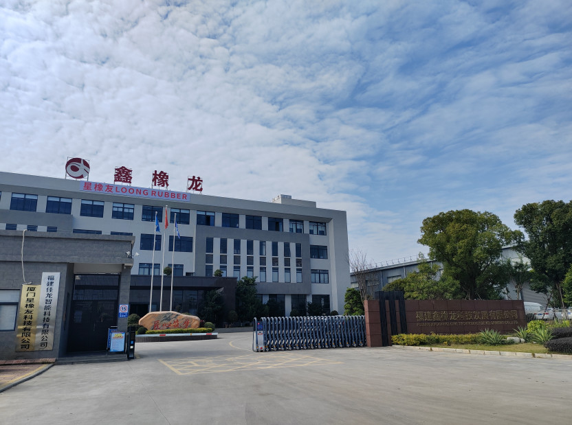 China Xiamen Loongrubber Technic Co., Ltd Perfil da companhia